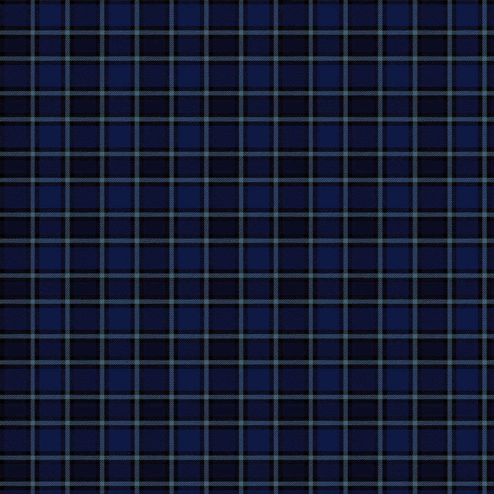 Xadrez Tartan - Renatta Tecidos