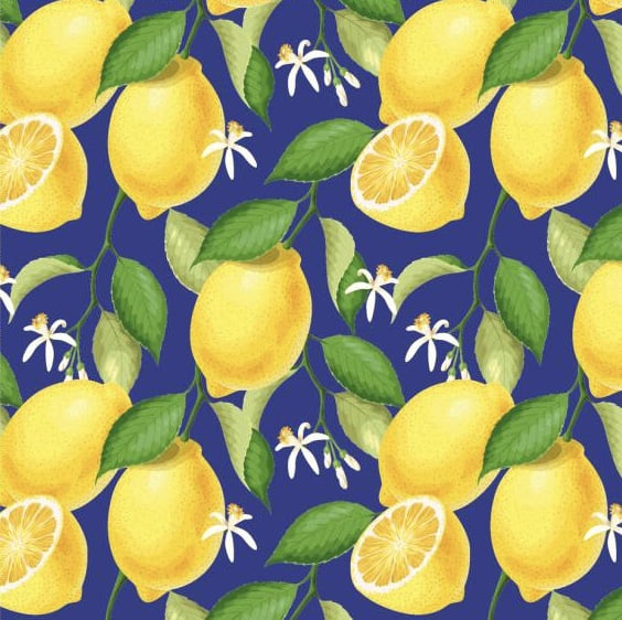 Tecido Tricoline Mini Limões - Fundo Xadrez Azul - Coleção Frutas