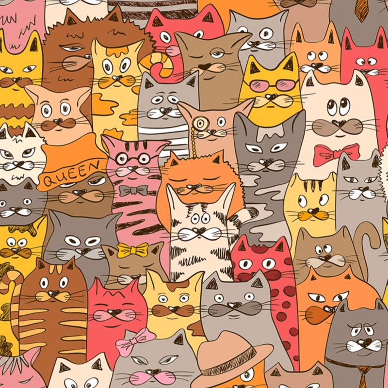 Tricoline estampado gatinhos variados 