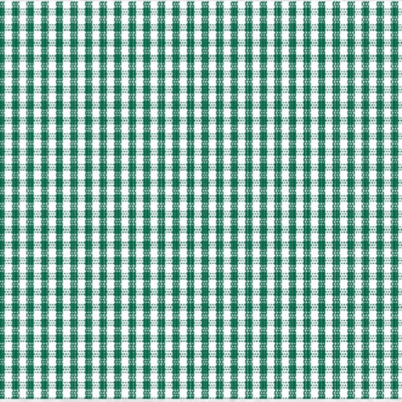 Tricoline fio tinto xadrez vichy 1XM verde bandeira 