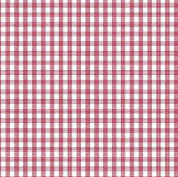 Tricoline fio tinto xadrez vichy 8XM vermelho 