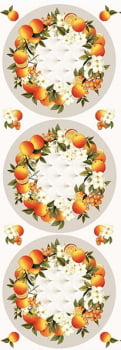Tricoline estampa digital sousplats oranges