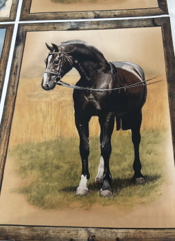 Painel cavalos 