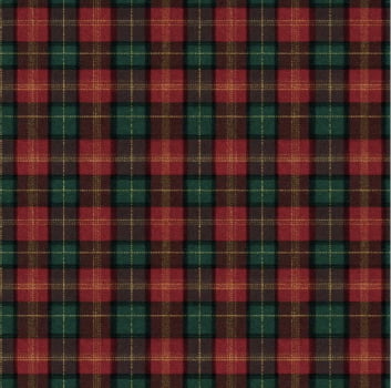 Sarja hidrorrepelente xadrez natal tartan