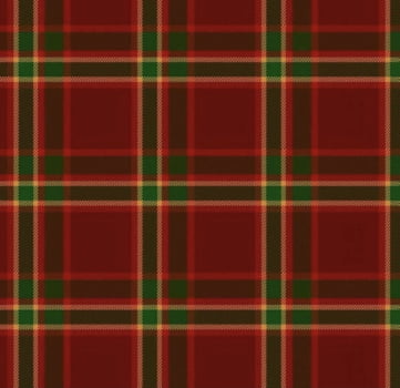 Tricoline estampa digital xadrez tartan vermelho com frisos verdes